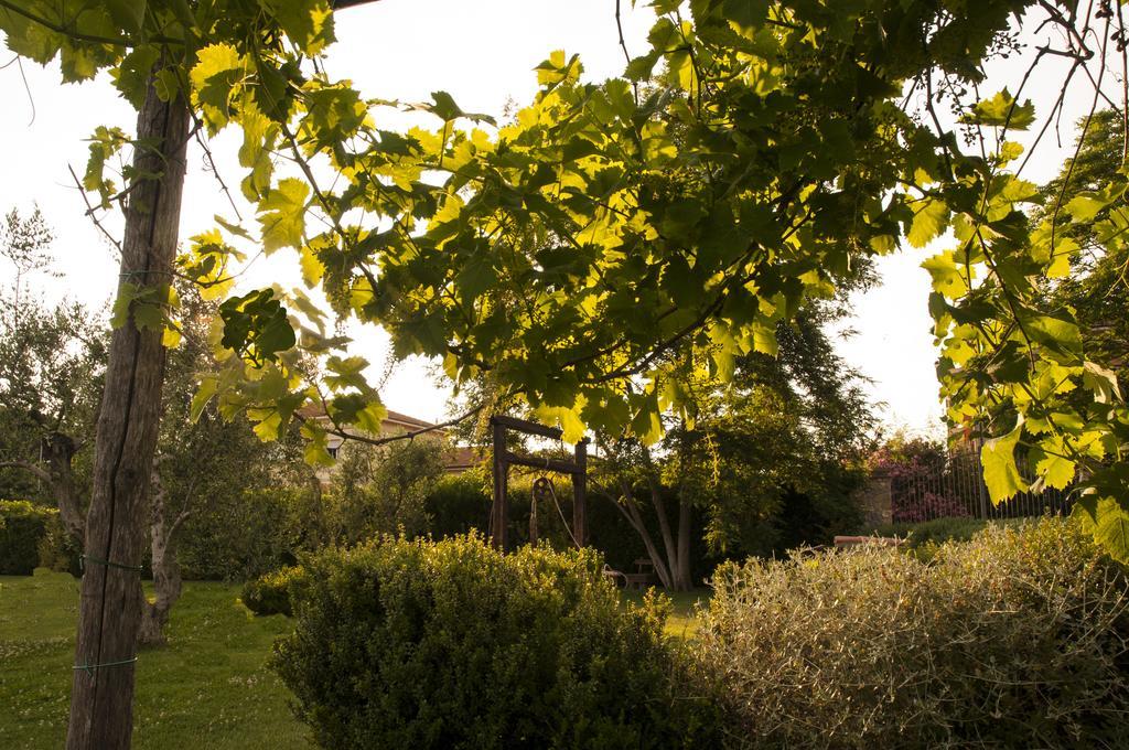 Podere Turicchio Orbetello Exteriér fotografie